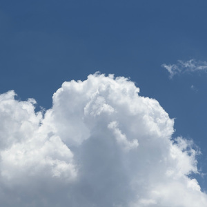 国产妓女一级在线
